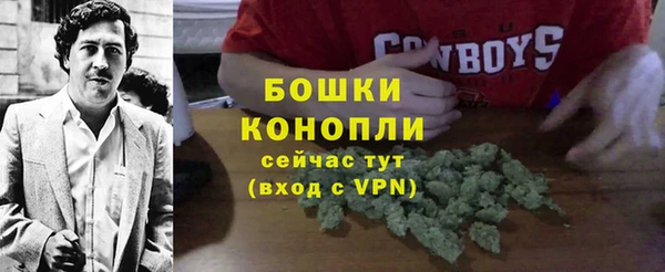 дмт Елизово
