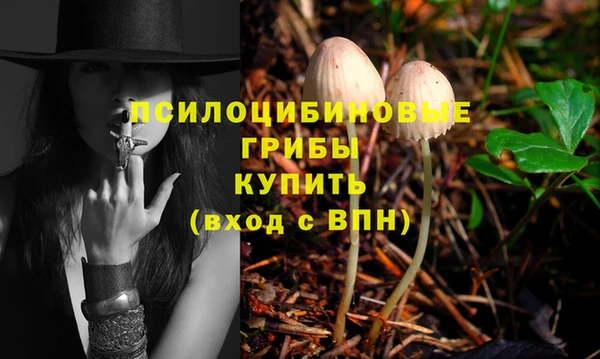 прущая мука Елабуга