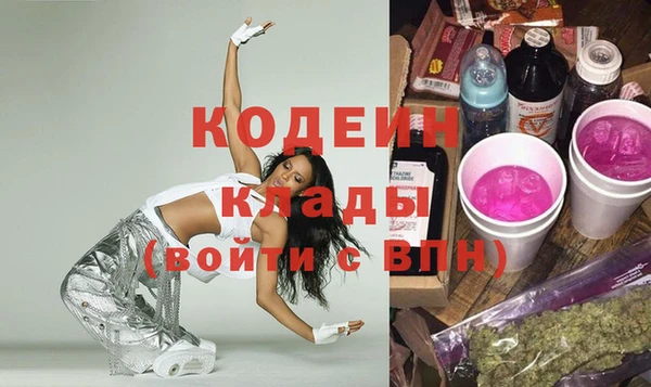 дмт Елизово