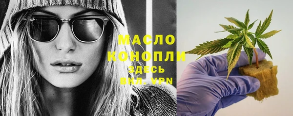 дмт Елизово