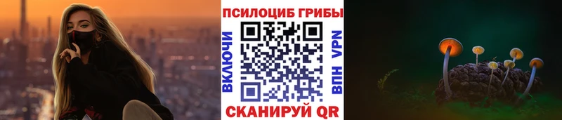 Галлюциногенные грибы Magic Shrooms  Купить  Карабаново 
